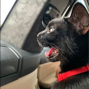 Meet your Posher, Catherine🌼🌼